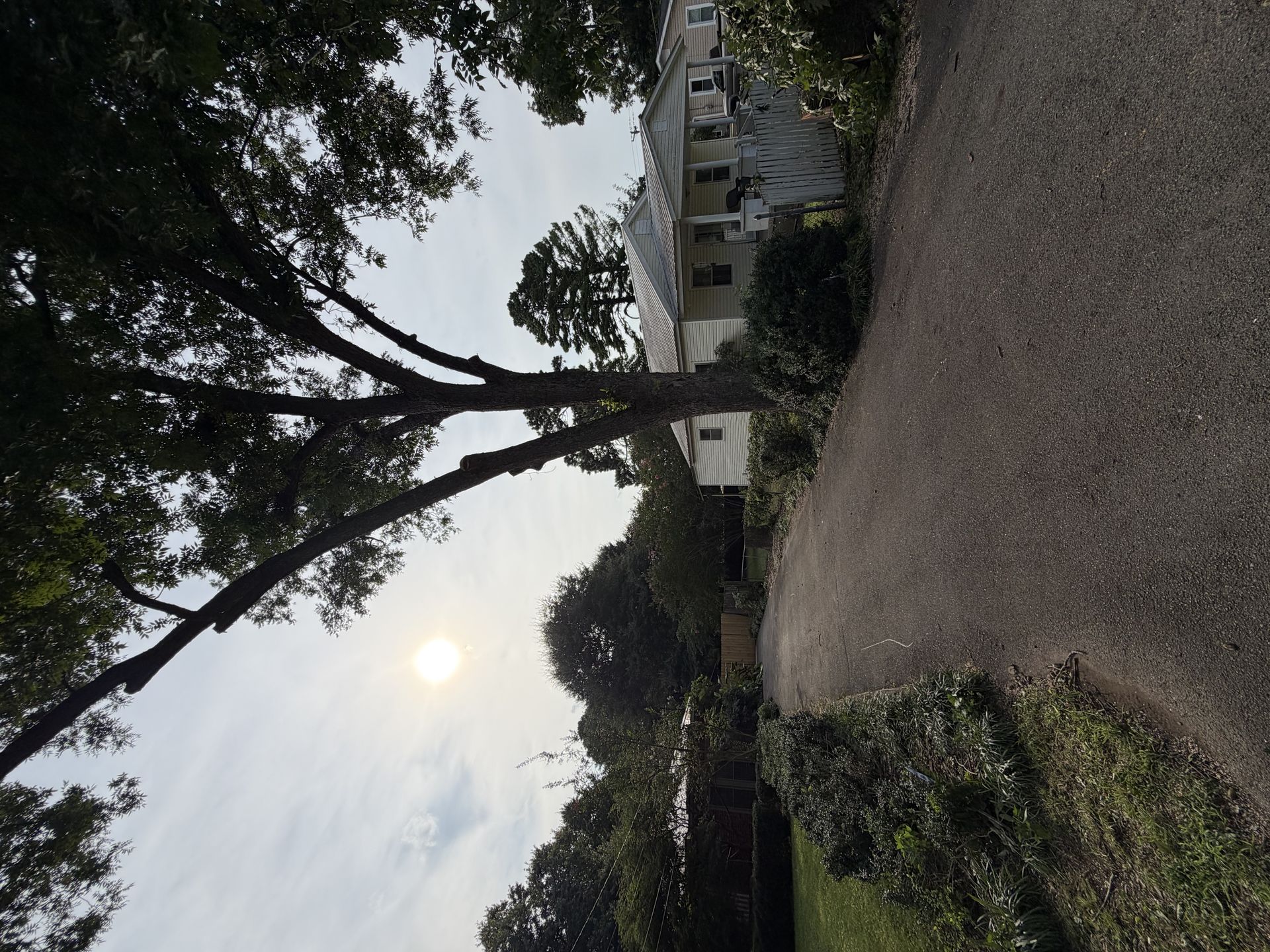 IMG 3659