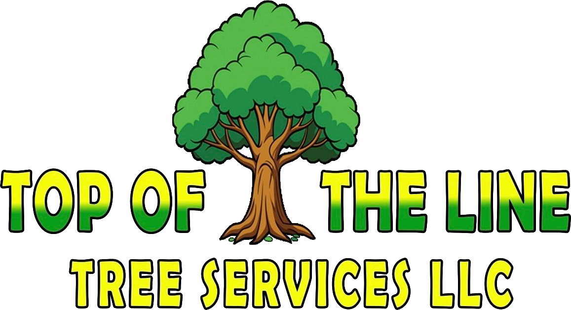 Top Of The Line Tree Services logo